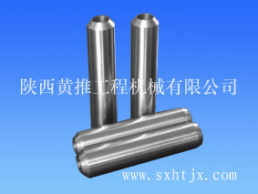 ˹T(do)3006456