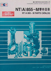 NT(A)855-MĿ